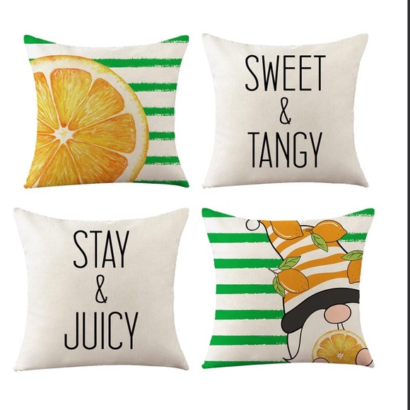 Other - 18x18 Inch Set Of 4, Boho Farmhouse Indoor / Outdoor Throw Pillow Cover